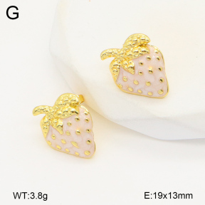 2E3003485vbll-434  Stainless Steel Earrings