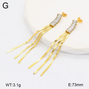 2E4004362bbml-434  Stainless Steel Earrings