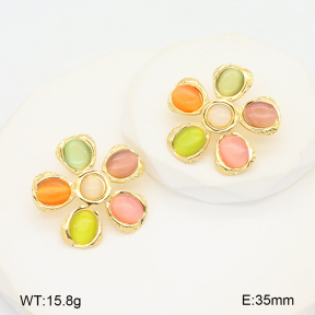 2E4004363bbml-434  Stainless Steel Earrings