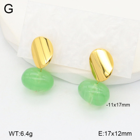 2E4004364vbnl-434  Stainless Steel Earrings