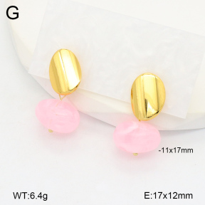 2E4004365vbnl-434  Stainless Steel Earrings