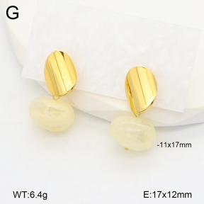 2E4004366vbnl-434  Stainless Steel Earrings