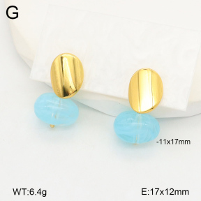 2E4004367vbnl-434  Stainless Steel Earrings