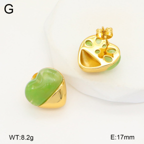2E4004368vbnl-434  Stainless Steel Earrings