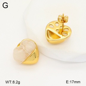 2E4004369vbnl-434  Stainless Steel Earrings