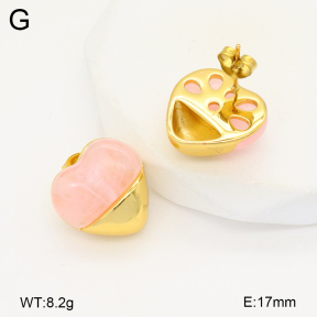 2E4004370vbnl-434  Stainless Steel Earrings
