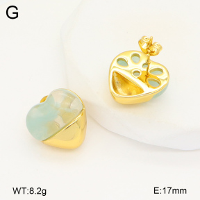 2E4004371vbnl-434  Stainless Steel Earrings