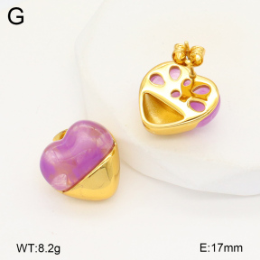 2E4004372vbnl-434  Stainless Steel Earrings