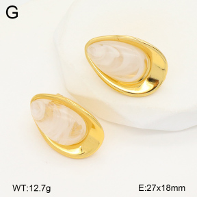 2E4004373vbnl-434  Stainless Steel Earrings