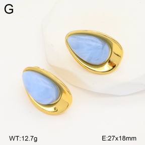 2E4004374vbnl-434  Stainless Steel Earrings