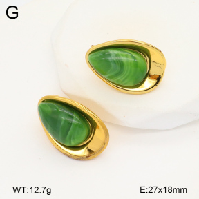2E4004375vbnl-434  Stainless Steel Earrings