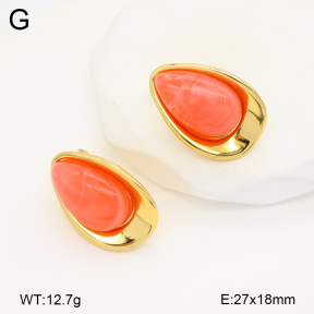 2E4004376vbnl-434  Stainless Steel Earrings