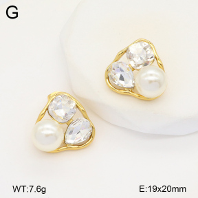 2E4004377vbnl-434  Stainless Steel Earrings