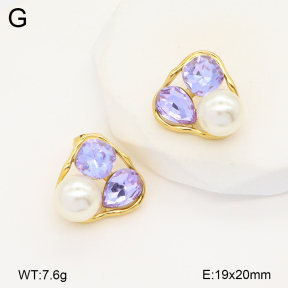 2E4004378vbnl-434  Stainless Steel Earrings