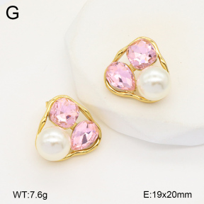 2E4004379vbnl-434  Stainless Steel Earrings
