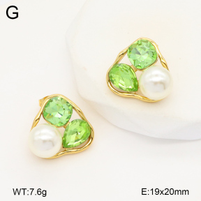 2E4004380vbnl-434  Stainless Steel Earrings