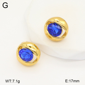 2E4004381vbnl-434  Stainless Steel Earrings