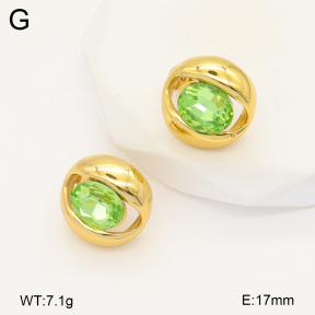 2E4004382vbnl-434  Stainless Steel Earrings