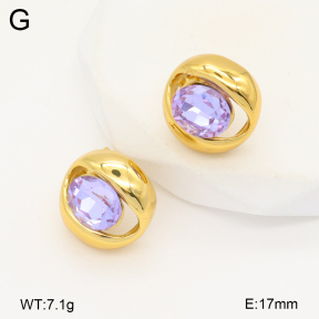 2E4004384vbnl-434  Stainless Steel Earrings