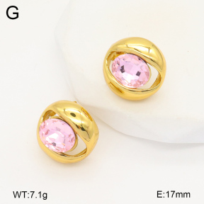 2E4004385vbnl-434  Stainless Steel Earrings