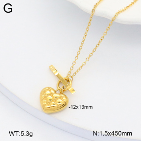 2N2005896vbnl-669  Stainless Steel Necklace