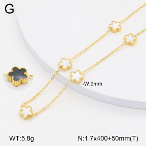 2N3002567vbnl-312  Stainless Steel Necklace