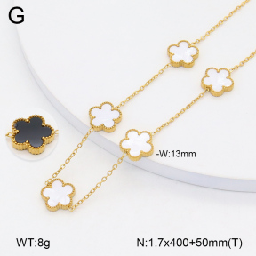 2N3002570vbnl-312  Stainless Steel Necklace
