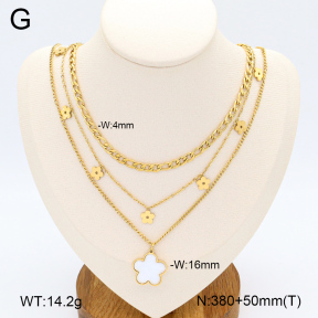 2N3002574aivb-312  Stainless Steel Necklace