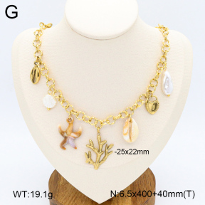2N3002594bhjl-669  Stainless Steel Necklace