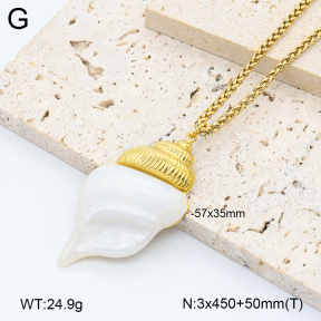 2N3002601bhjl-669  Stainless Steel Necklace