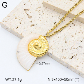 2N3002602bhjl-669  Stainless Steel Necklace