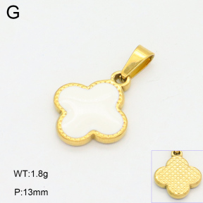 2P3000640vail-312  Stainless Steel Pendant