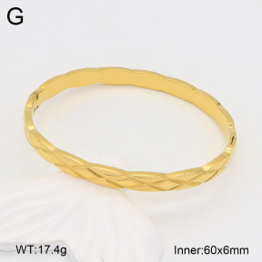 2BA202068vhmv-328  Stainless Steel Bangle