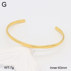 2BA202070bhva-328  Stainless Steel Bangle