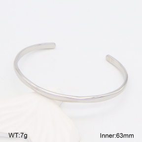2BA202071vbpb-328  Stainless Steel Bangle