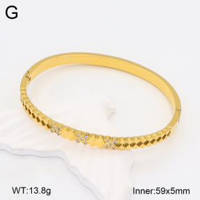 2BA402253ahlv-328  Stainless Steel Bangle