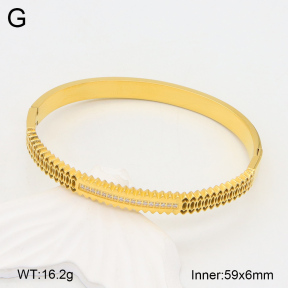 2BA402257vhmv-328  Stainless Steel Bangle