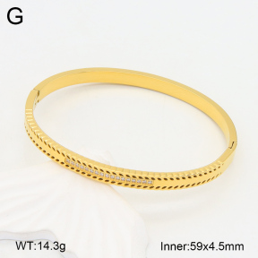 2BA402259ahlv-328  Stainless Steel Bangle