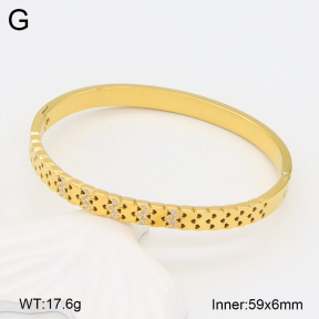 2BA402263vhnv-328  Stainless Steel Bangle