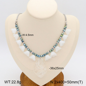 2N4004254vila-666  Stainless Steel Necklace