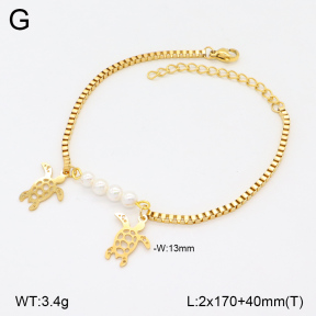 2B3003894ablb-350  Stainless Steel Bracelet