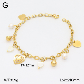 2B3003896vbpb-350  Stainless Steel Bracelet