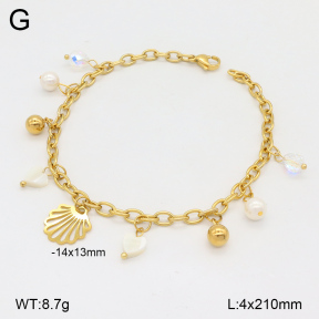 2B3003900vbpb-350  Stainless Steel Bracelet