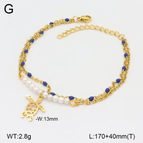 2B3003911vbnb-350  Stainless Steel Bracelet