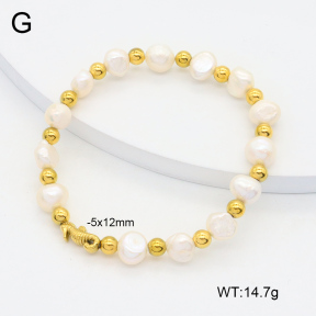 2B3003917vhkb-355  Stainless Steel Bracelet