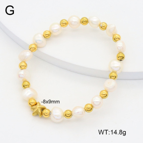 2B3003918vhkb-355  Stainless Steel Bracelet