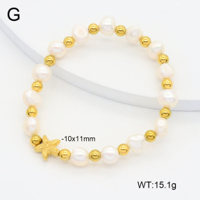 2B3003919vhkb-355  Stainless Steel Bracelet