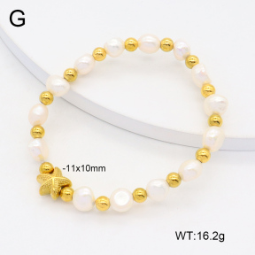 2B3003920vhkb-355  Stainless Steel Bracelet