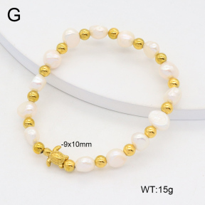 2B3003921vhkb-355  Stainless Steel Bracelet