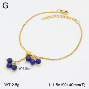 2B4004911vbnb-350  Stainless Steel Bracelet
